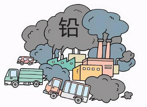 高速沿線綠化與土壤環(huán)境防護(hù) 為何禁種莊稼，重在防治什么？