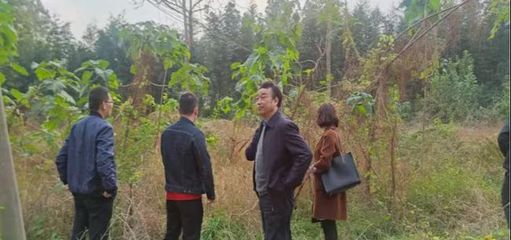 市環(huán)境攻堅(jiān)辦調(diào)研組深入浉河區(qū)開(kāi)展耕地土壤污染防治專(zhuān)項(xiàng)調(diào)研